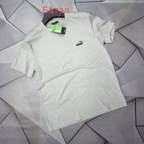 Футболка Rassul (XL-5XL) 67905 beige (лето) Rassul 67905 beige