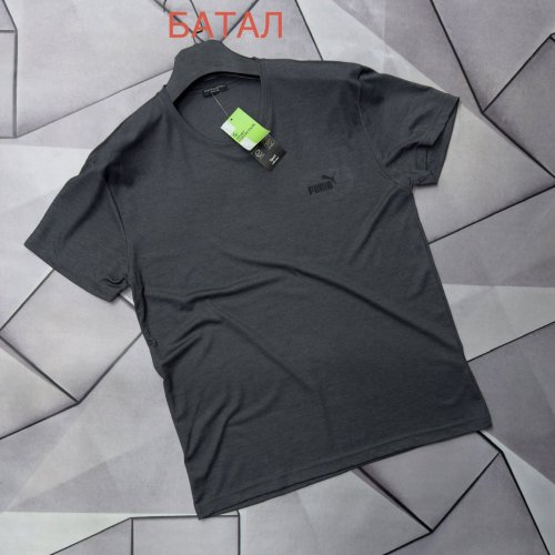 Футболка Rassul (XL-5XL) 67908 d.grey (лето) Rassul 67908 d.grey