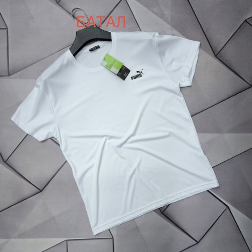 Футболка Rassul (XL-5XL) 67909 white (лето) Rassul 67909 white