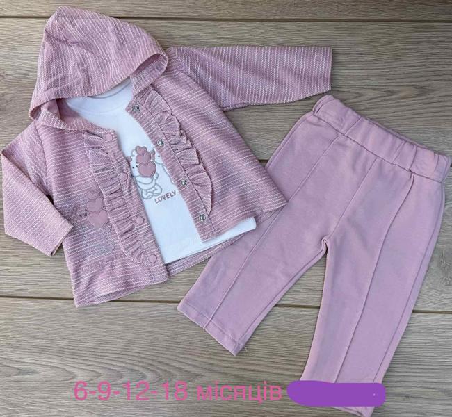 Костюм Emir kids (0.6-1.6) 1080 pink (деми)