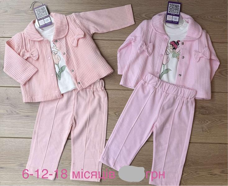 Костюм Emir kids (0.6-1.6) 1179 pink (деми)