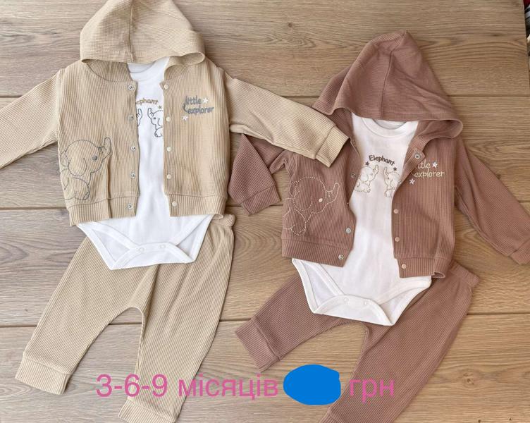 Костюм Emir kids (0.3-0.9) 1183 beige (деми)