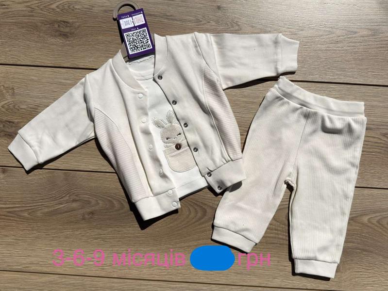Костюм Emir kids (0.3-0.9) 1253 beige (деми)