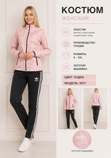 Костюм спорт AZT (S-2XL) AZ885 powder (деми)