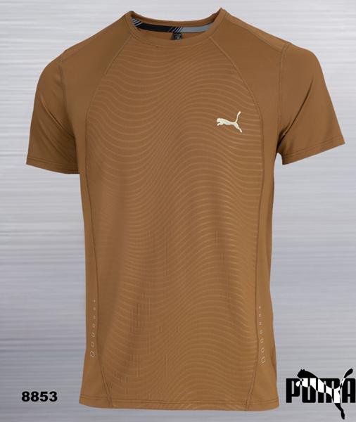 Футболка AZT (M-3XL) AZ1046-8853 brown (лето)