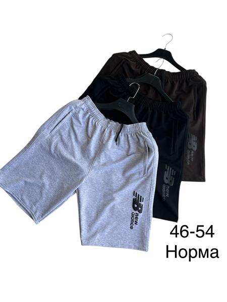 Шорты TRAN (46-54) TR1269 brown (лето)