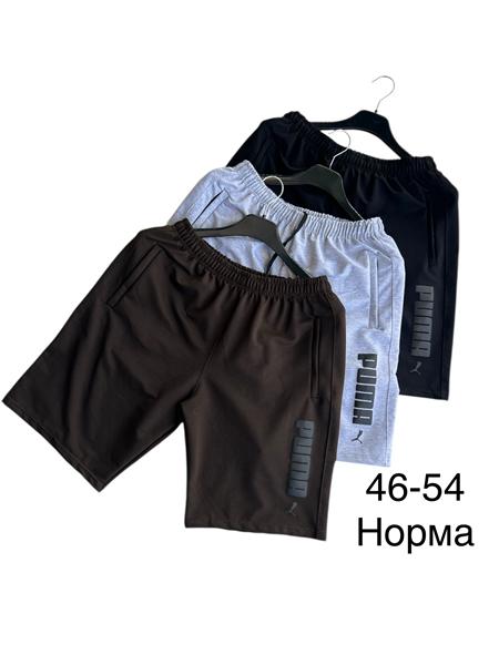 Шорты TRAN (46-54) TR1276 brown (лето)