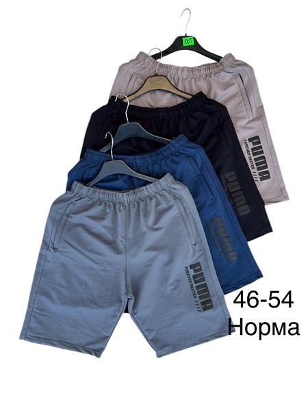 Шорты TRAN (46-54) TR1295 l.grey (лето)