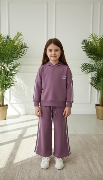 Костюм спорт Dino (5-9) DN1241 d.pink (деми)