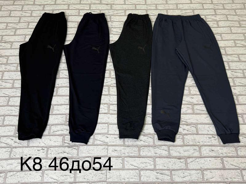 Штаны спорт Essa (46-54) K8-3 navy (деми)