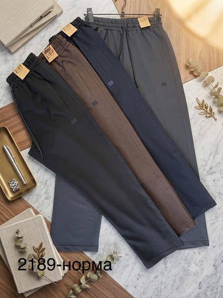 Штаны спорт Moranny (S-2XL) 2189 navy (деми)