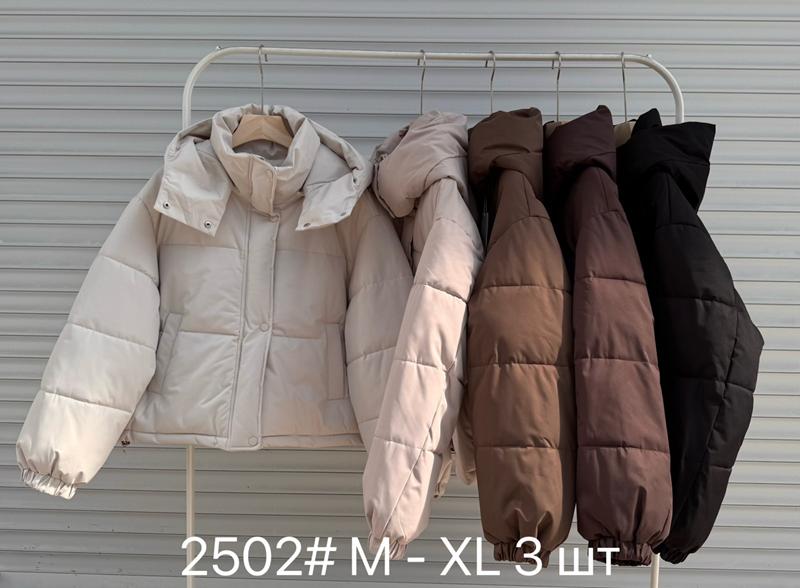 Куртка DGMD (M-XL) 2502 wine (деми)