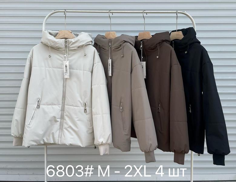 Куртка DGMD (M-2XL) 6803 white (деми)