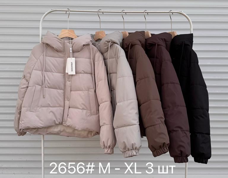 Куртка DGMD (M-XL) 2656 black (деми)