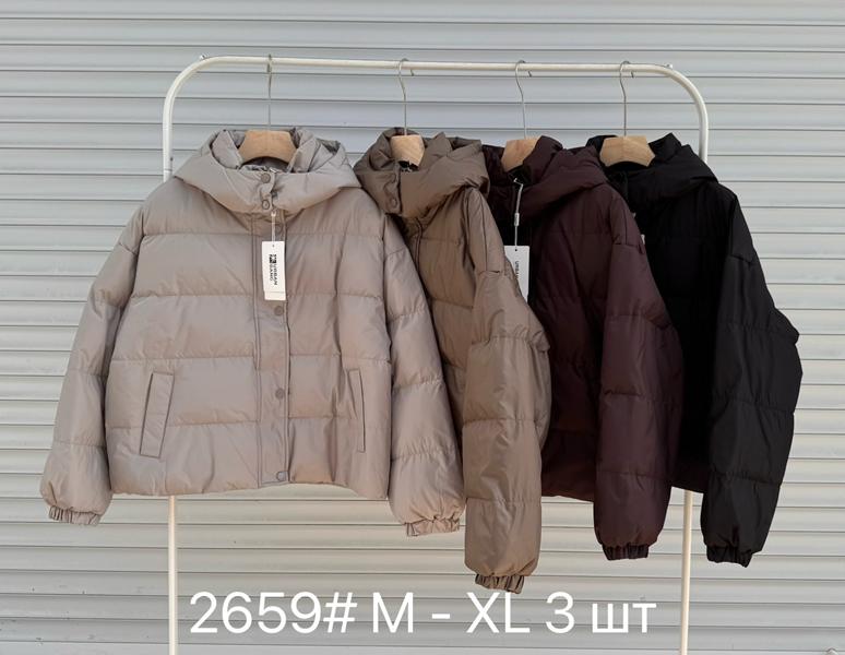Куртка DGMD (M-XL) 2659 wine (деми)