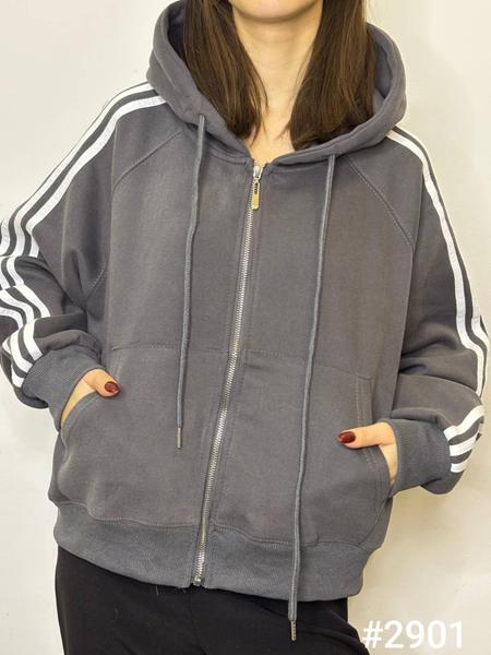 Кофта спорт Kosta (42-48) 2901 d.grey (деми)