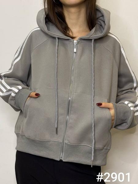 Кофта спорт Kosta (42-48) 2901 grey (деми)