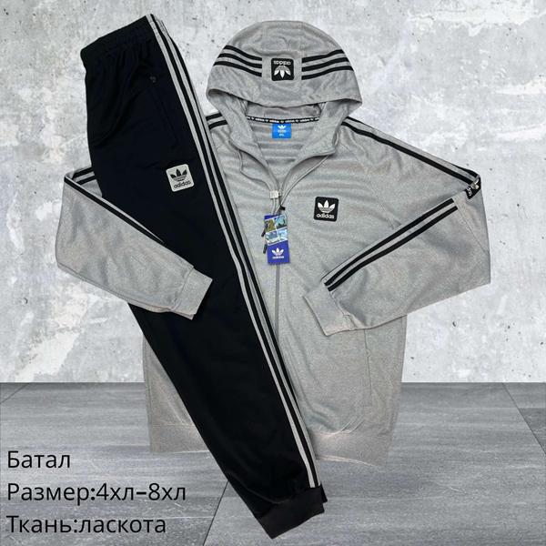 Костюм спорт Hai (4XL-8XL) H1578 l.grey (деми)