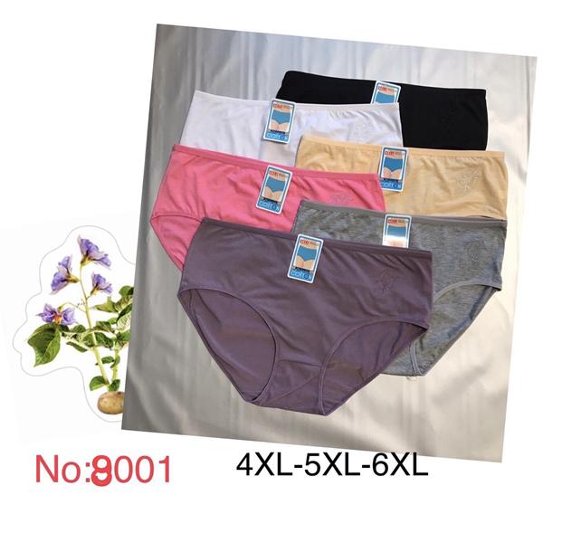Трусы ALIA (4XL-6XL) 8001 mix котон (лето)
