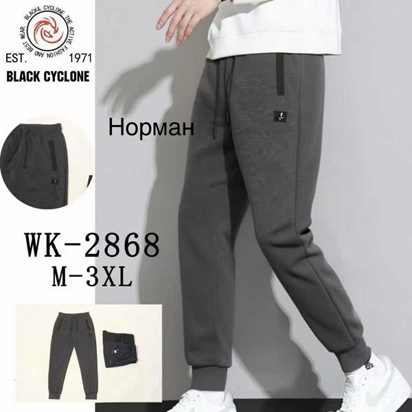 Штаны спорт Giang (M-3XL) 2868 black (деми)