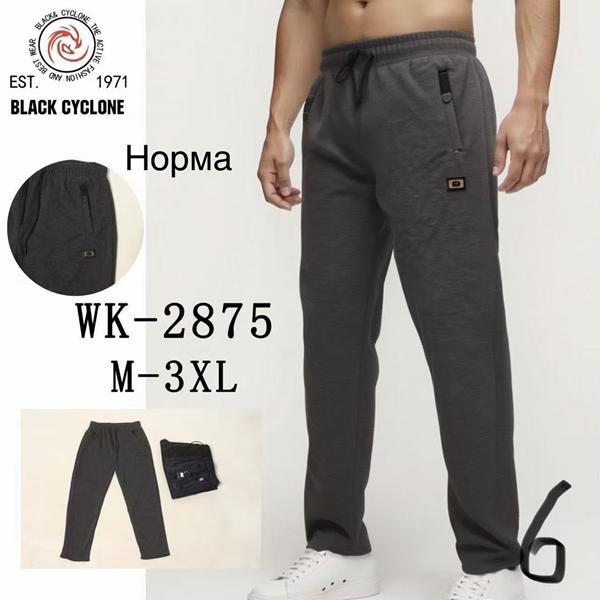 Штаны спорт Giang (M-3XL) 2875 navy (деми)