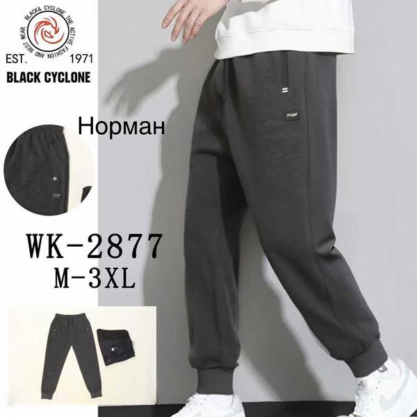 Штаны спорт Giang (M-3XL) 2877 black (деми)