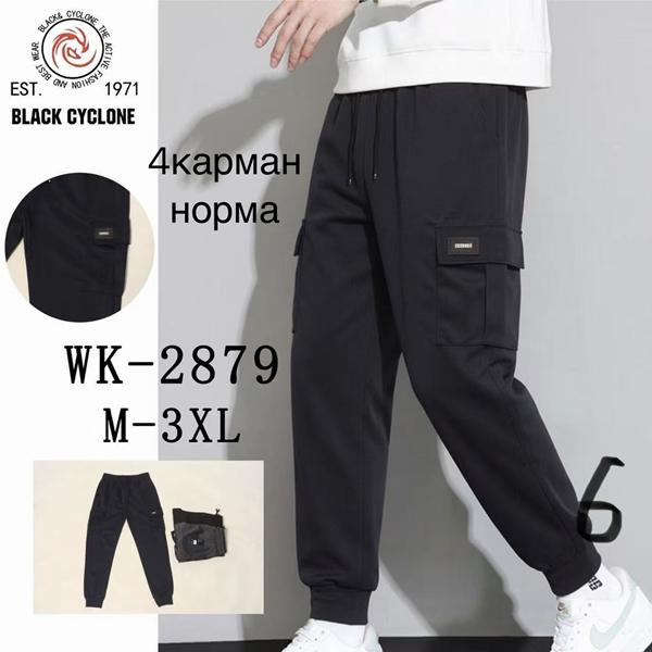 Штаны спорт Giang (M-3XL) 2879 grey (деми)