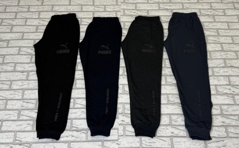 Штаны спорт Essa (42-50) E1732 black (деми)