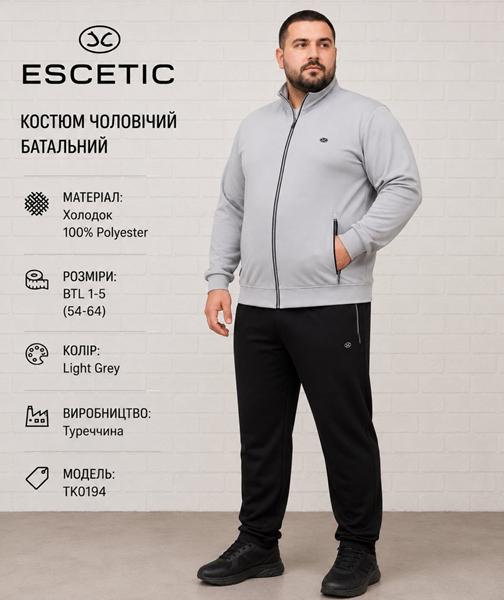 Костюм спорт AZT (54-62) AZ1029-1-5 grey (деми)