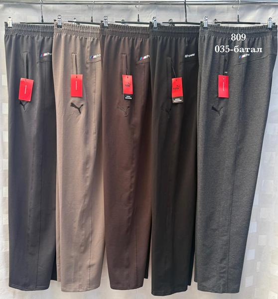 Штаны спорт Shon (58-66) S4065 grey (деми)