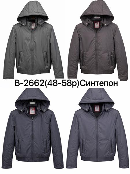 Куртка Ale-Ate (48-58) B2662 grey (деми)