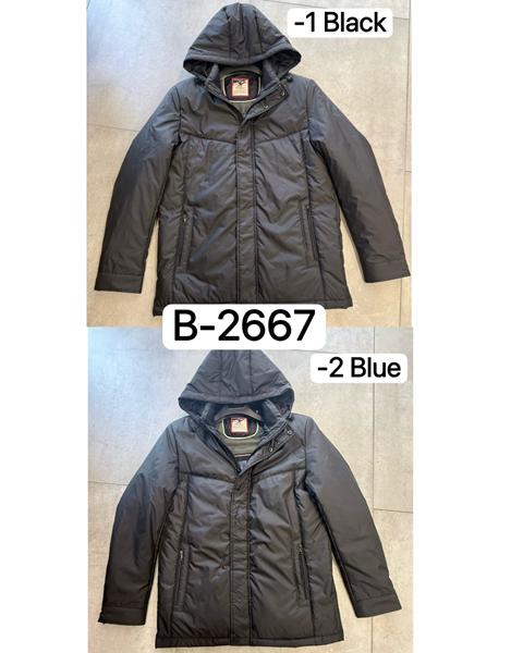 Куртка Ale-Ate (48-58) B2667-2 blue (деми)