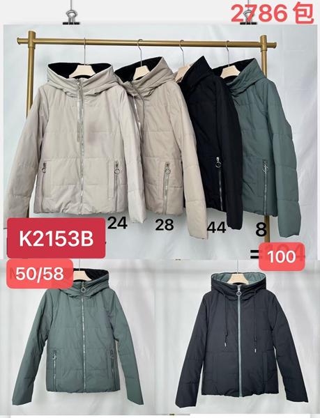 Куртка Dorimodes (50-58) K2153B-8 green (зима)