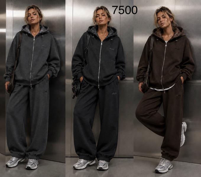 Костюм спорт Saint Wish (L-2XL) 7500 grey (зима)