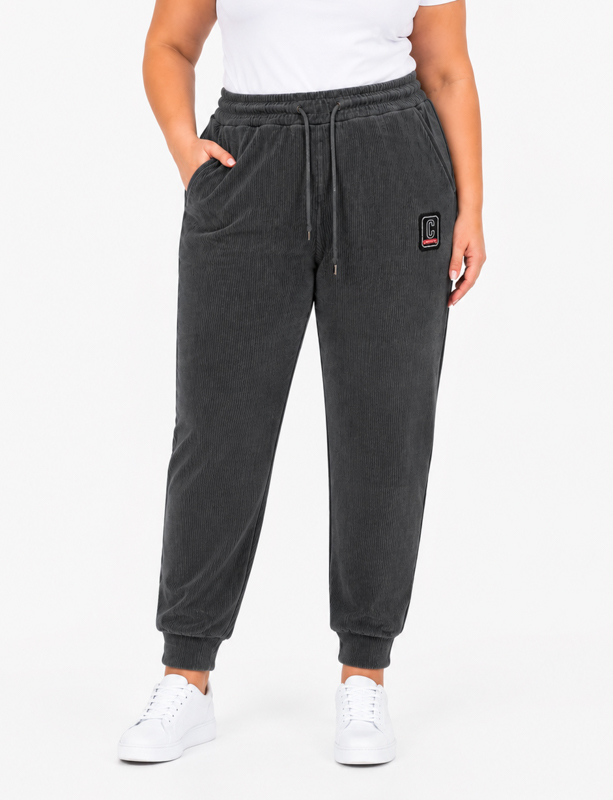 Штаны спорт Obuv OK2 (2XL-6XL) SY2038 (99458) grey (зима)
