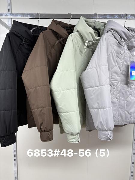 Куртка Jacket (48-56) 6853 black (деми)