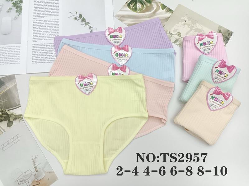 Трусы Proschenko (2-4) TS2957 mix (2-4) (лето)