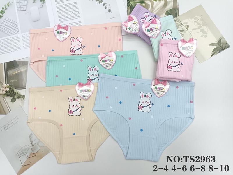 Трусы Proschenko (8-10) TS2963 mix (8-10) (лето)