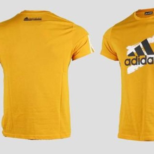 Костюм AZT (S-2XL) AZ775-259 yellow (лето) AZT AZ775-259 yellow
