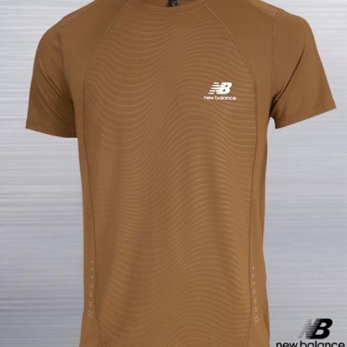 Футболка AZT (M-3XL) AZ1045-8853 brown (лето) AZT AZ1045-8853 brown