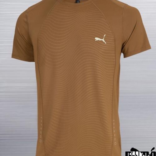 Футболка AZT (M-3XL) AZ1046-8853 brown (лето) AZT AZ1046-8853 brown