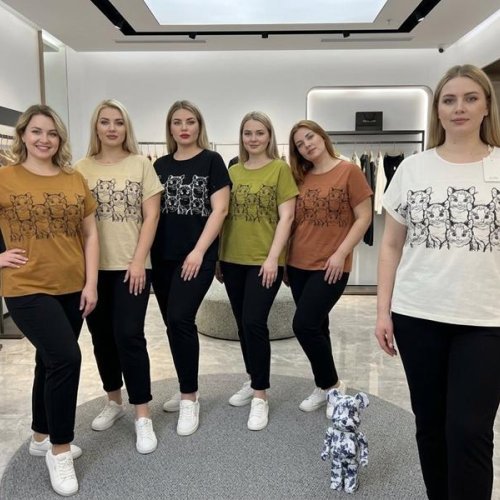 Футболка Шаолинь (XL-3XL) AL7205 khaki (лето) Шаолинь AL7205 khaki