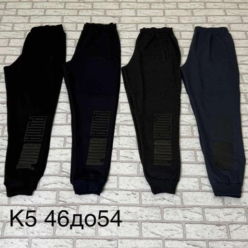 Штаны спорт Essa (46-54) K5-1 navy (деми) Essa K5-1 navy