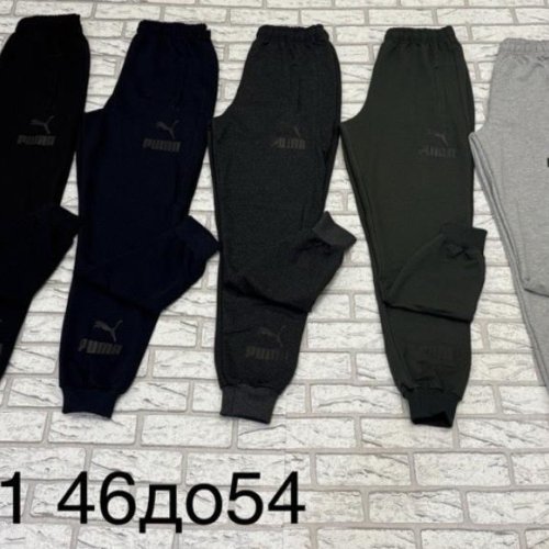 Штаны спорт Essa (46-54) K1-2 navy (деми) Essa K1-2 navy