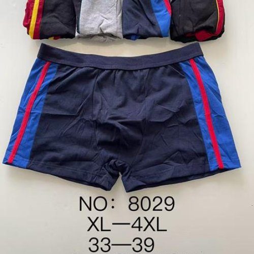 Трусы ALIA (L-3XL) 8029 mix хлопок (лето) ALIA 8029 mix хлопок