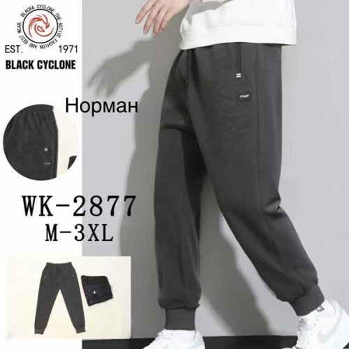 Штаны спорт Giang (M-3XL) 2877 black (деми) Giang 2877 black