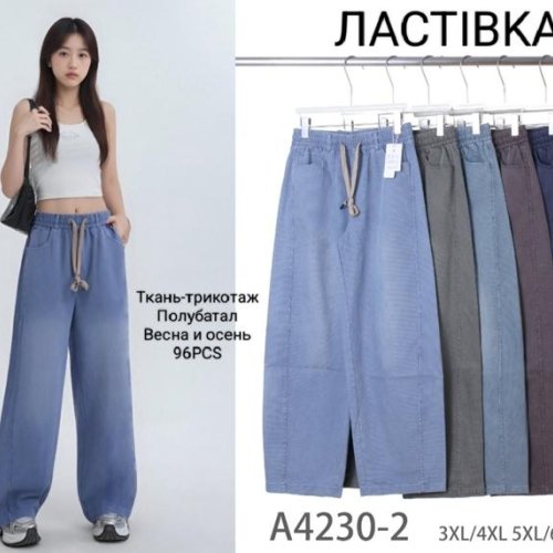 Штаны Giang (70-78) A4230-2 mix (деми) Giang A4230-2 mix
