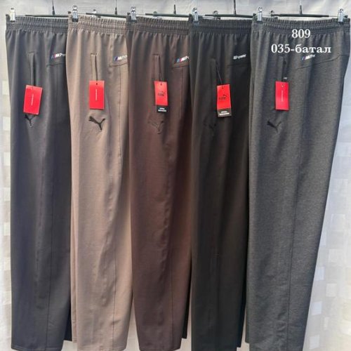 Штаны спорт Shon (58-66) S4063 brown (деми) Shon S4063 brown