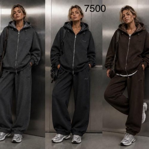 Костюм спорт Saint Wish (L-2XL) 7500 grey (зима) Saint Wish 7500 grey