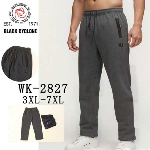 Штаны спорт Hoan (3XL-7XL) 2827 grey (деми) Hoan 2827 grey
